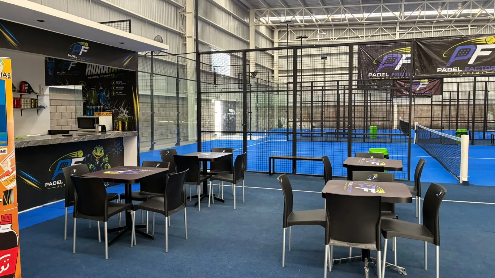 Foto 7 de Padel Factory Academy